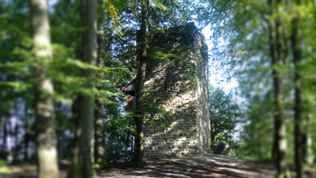 Burgruine Wülflingen. ING PLUS Burgruine Wülflingen. ING PLUS